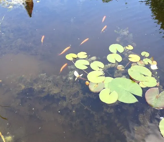 Logies Ternier - Het Victorhuis Bed & Breakfast